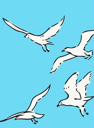 Jody shared a drawing with you 5